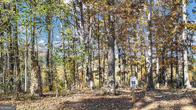 98 Winding Road, Blairsville, GA 30512