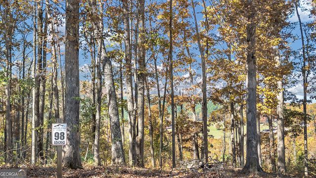 98 Winding Road, Blairsville, GA 30512