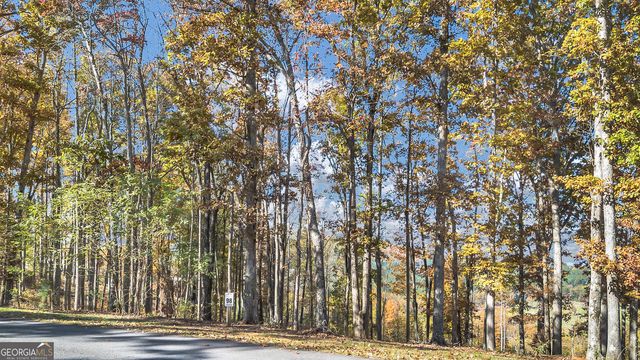 98 Winding Road, Blairsville, GA 30512