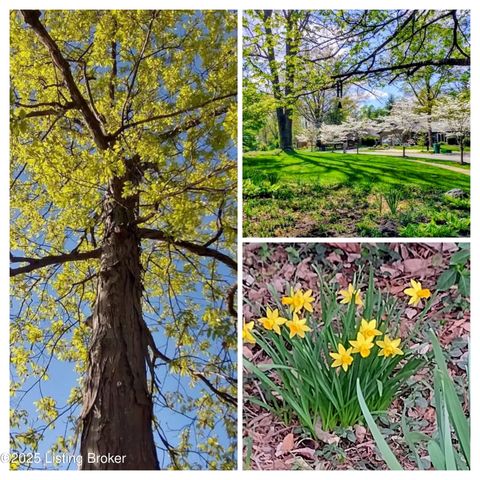 10208 Statia Lynn Ct, Louisville, KY 40223