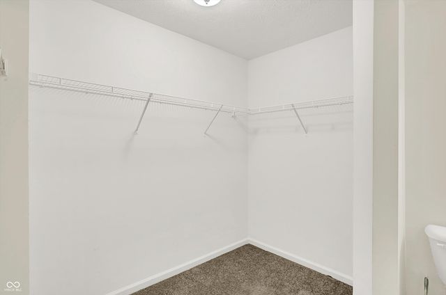 6327 Pinebark Place, Indianapolis, IN 46217