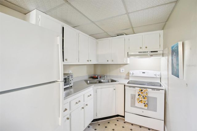 209 NE LINCOLN CIRCLE N 309, St Petersburg, FL 33702