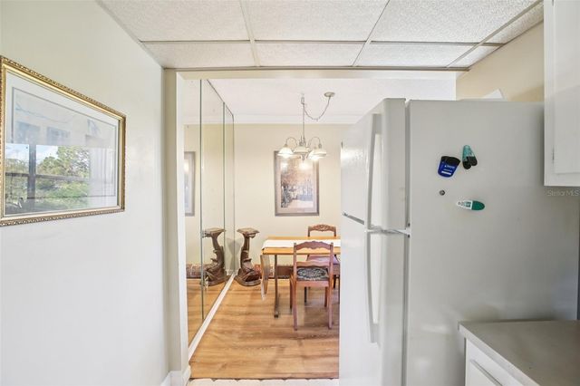 209 NE LINCOLN CIRCLE N 309, St Petersburg, FL 33702