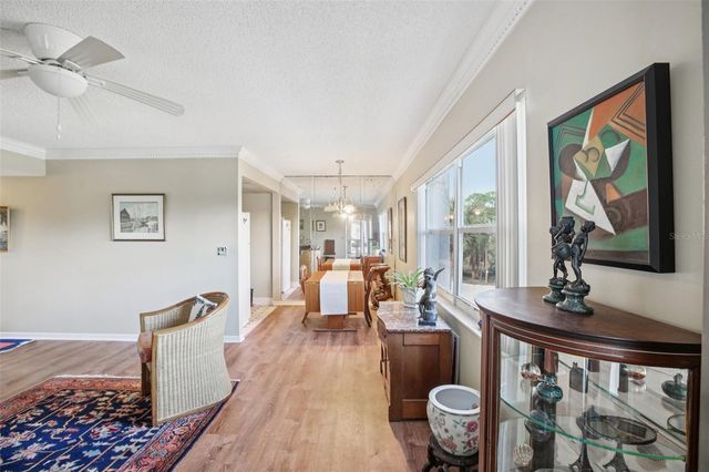 209 NE LINCOLN CIRCLE N 309, St Petersburg, FL 33702