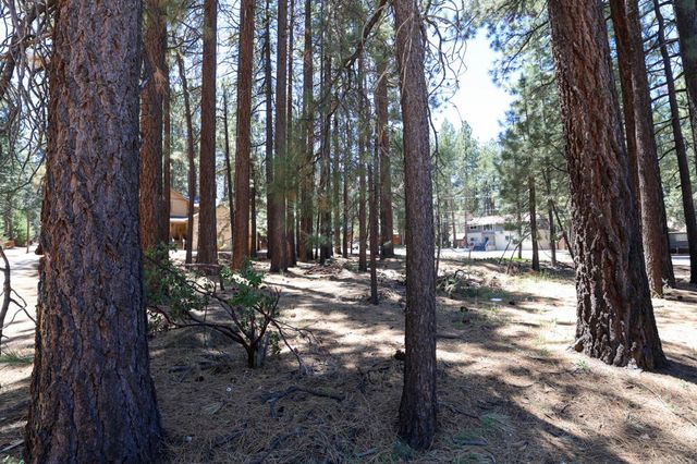 689 Summit Boulevard, Big Bear, CA 92315