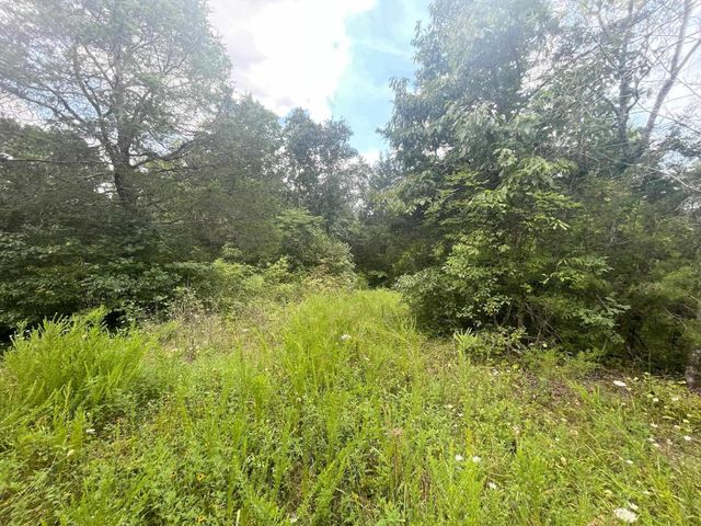 2607 Royalty Ridge Road, Willisburg, KY 40078