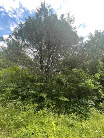 2607 Royalty Ridge Road, Willisburg, KY 40078