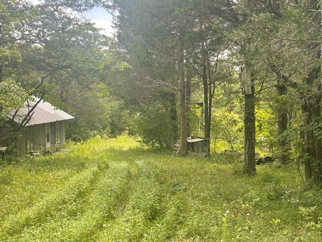 2607 Royalty Ridge Road, Willisburg, KY 40078