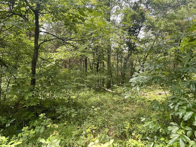 2607 Royalty Ridge Road, Willisburg, KY 40078