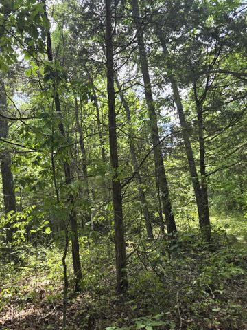 2607 Royalty Ridge Road, Willisburg, KY 40078