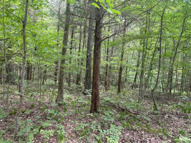 2607 Royalty Ridge Road, Willisburg, KY 40078