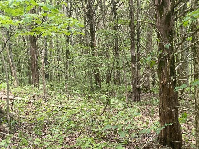 2607 Royalty Ridge Road, Willisburg, KY 40078