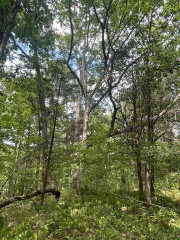 2607 Royalty Ridge Road, Willisburg, KY 40078