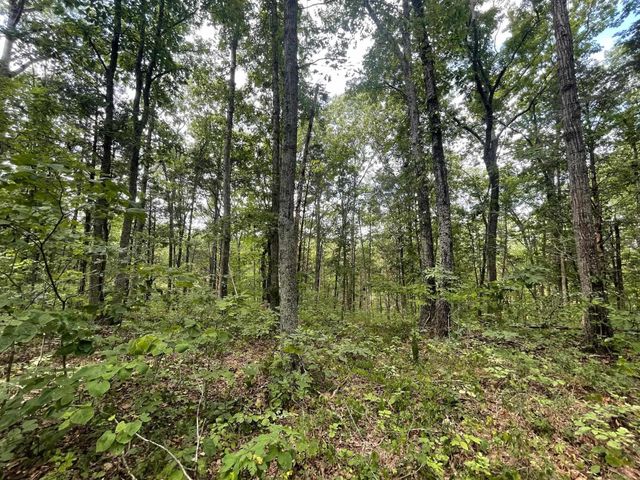 2607 Royalty Ridge Road, Willisburg, KY 40078