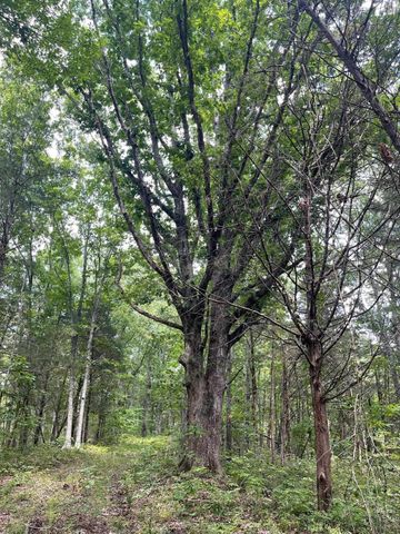 2607 Royalty Ridge Road, Willisburg, KY 40078