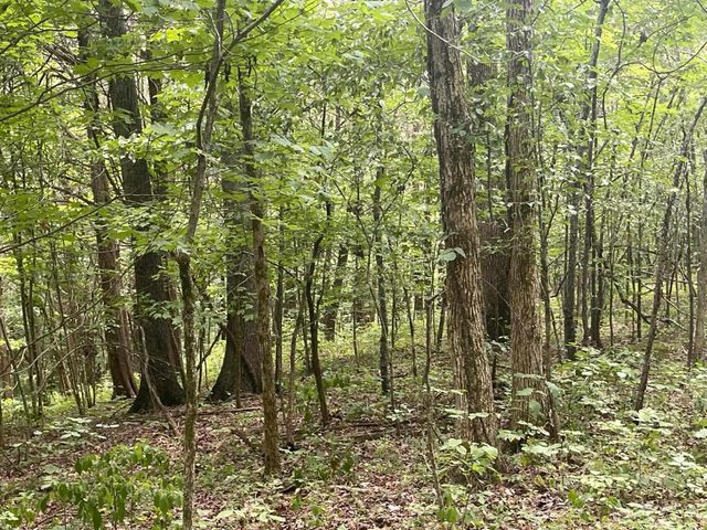 2607 Royalty Ridge Road, Willisburg, KY 40078