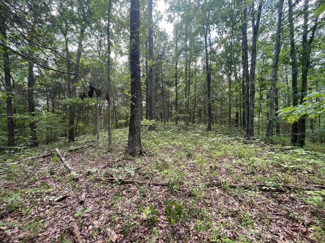 2607 Royalty Ridge Road, Willisburg, KY 40078