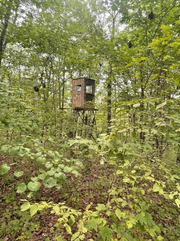 2607 Royalty Ridge Road, Willisburg, KY 40078