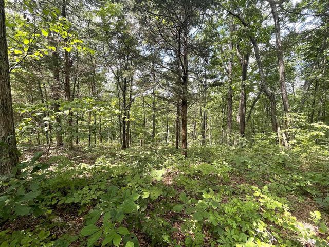 2607 Royalty Ridge Road, Willisburg, KY 40078