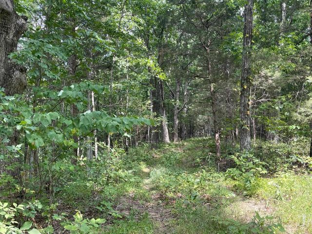 2607 Royalty Ridge Road, Willisburg, KY 40078