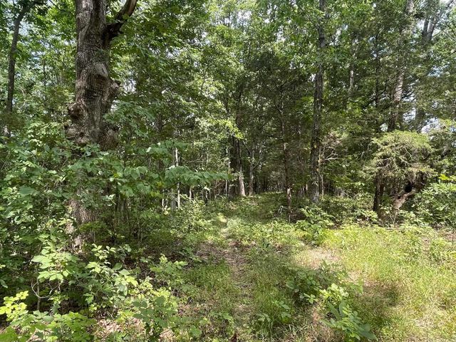 2607 Royalty Ridge Road, Willisburg, KY 40078