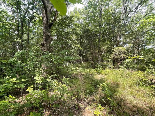 2607 Royalty Ridge Road, Willisburg, KY 40078