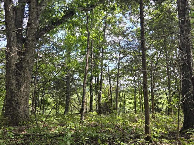 2607 Royalty Ridge Road, Willisburg, KY 40078