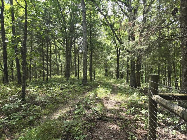 2607 Royalty Ridge Road, Willisburg, KY 40078