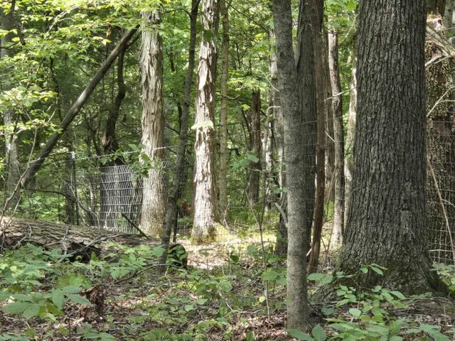 2607 Royalty Ridge Road, Willisburg, KY 40078