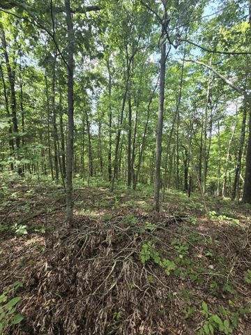 2607 Royalty Ridge Road, Willisburg, KY 40078