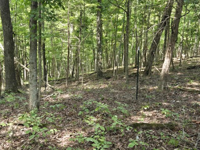 2607 Royalty Ridge Road, Willisburg, KY 40078