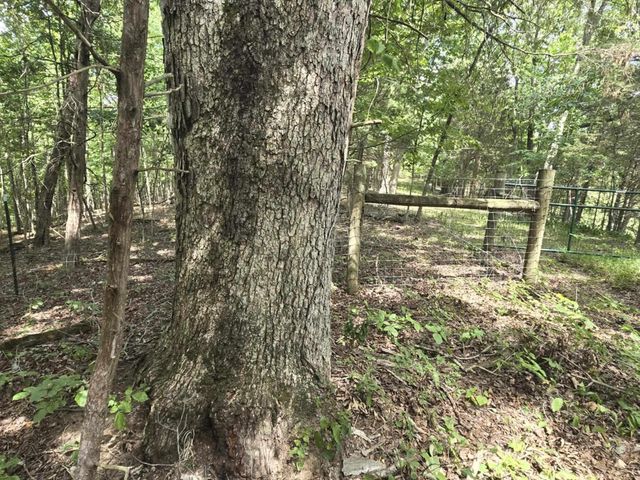 2607 Royalty Ridge Road, Willisburg, KY 40078