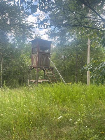 2607 Royalty Ridge Road, Willisburg, KY 40078