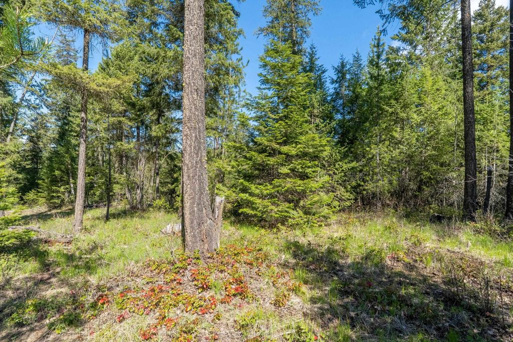 6xx Palmer Ln, Chewelah, WA 99109 photo 4