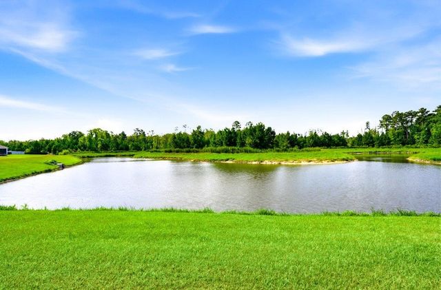 210 Carver Willow Dr., Loris, SC 29569