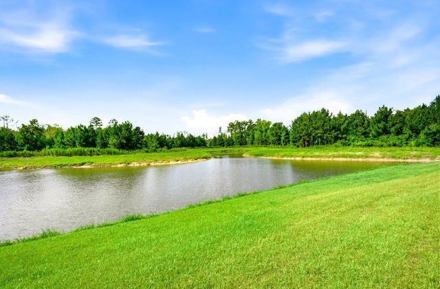 210 Carver Willow Dr., Loris, SC 29569