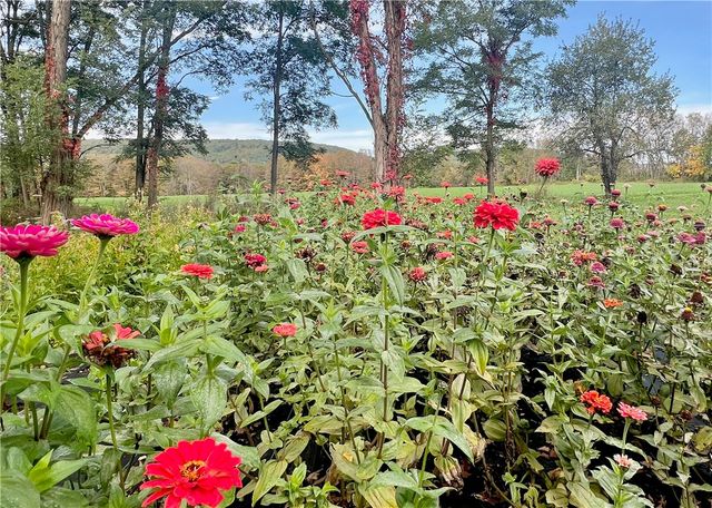 935 County Highway 35, Milford, NY 12116