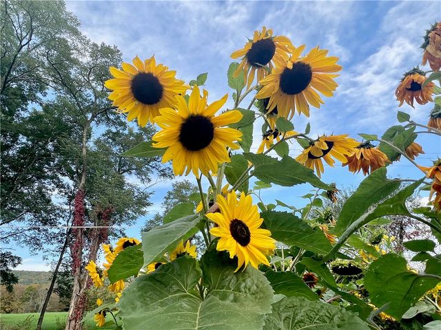 935 County Highway 35, Milford, NY 12116