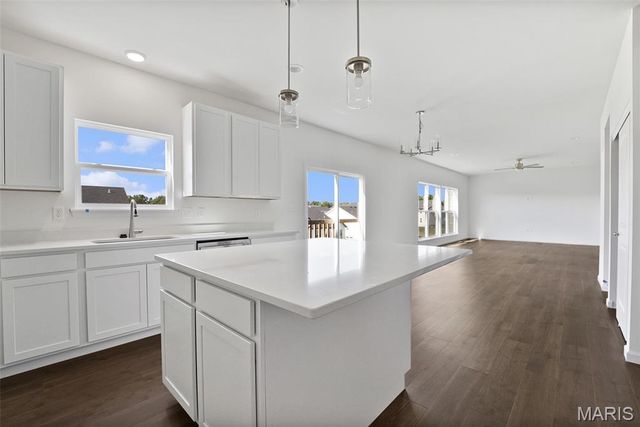 12232 Louiselle Park Drive, Maryland Heights, MO 63043