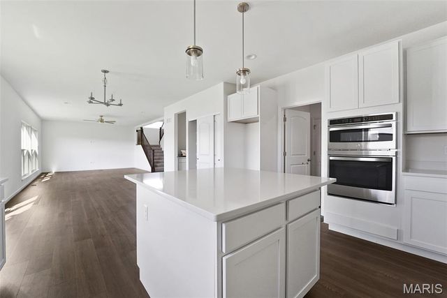 12232 Louiselle Park Drive, Maryland Heights, MO 63043