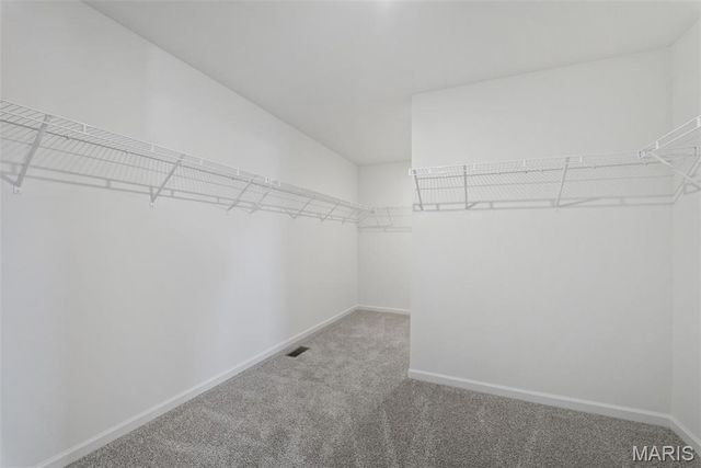 12232 Louiselle Park Drive, Maryland Heights, MO 63043