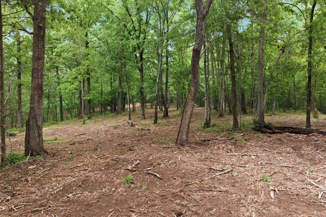 0 Willow Springs Road, Lyles, TN 37098