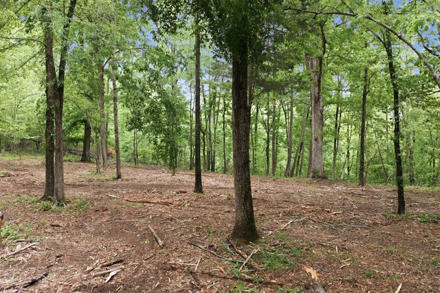 0 Willow Springs Road, Lyles, TN 37098