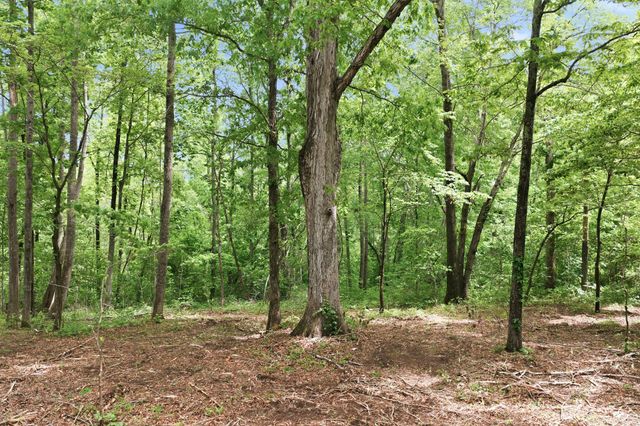 0 Willow Springs Road, Lyles, TN 37098