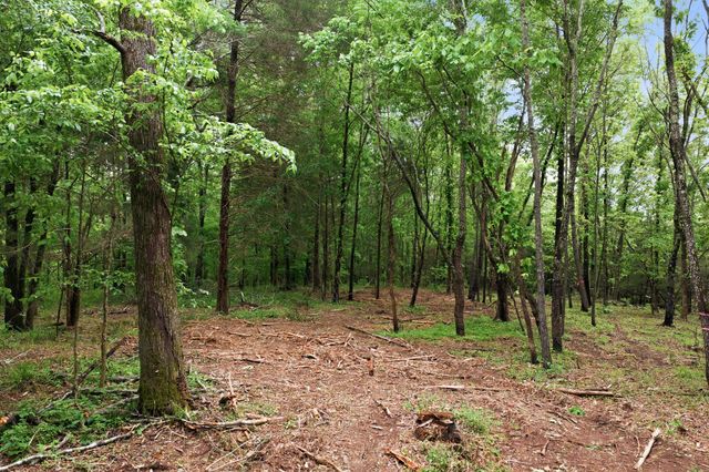 0 Willow Springs Road, Lyles, TN 37098