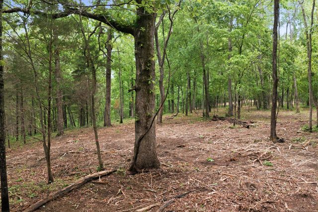 0 Willow Springs Road, Lyles, TN 37098