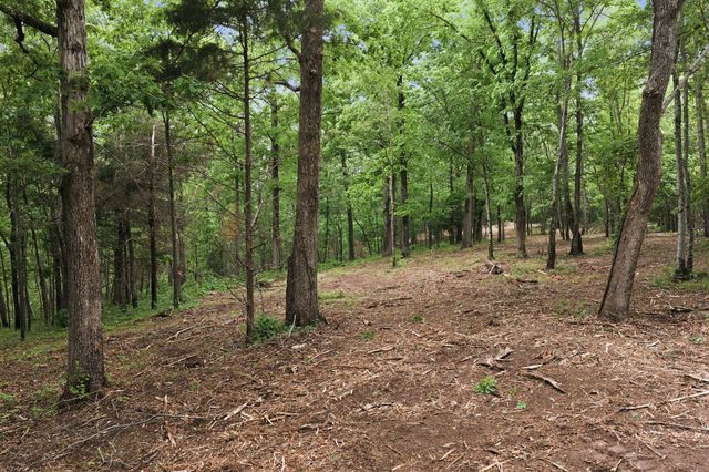 0 Willow Springs Road, Lyles, TN 37098