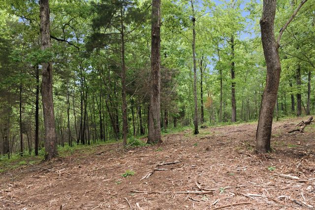 0 Willow Springs Road, Lyles, TN 37098