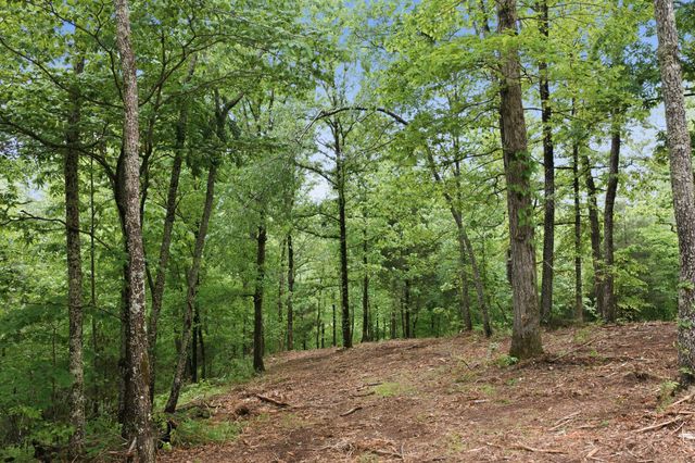 0 Willow Springs Road, Lyles, TN 37098