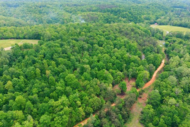 0 Willow Springs Road, Lyles, TN 37098